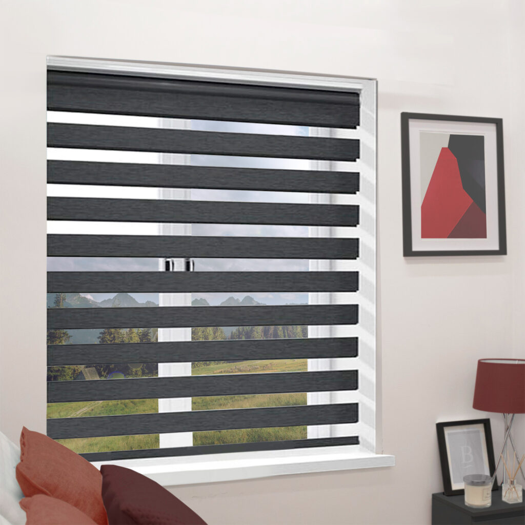Black Day Night Roller Blind Caecus Blinds